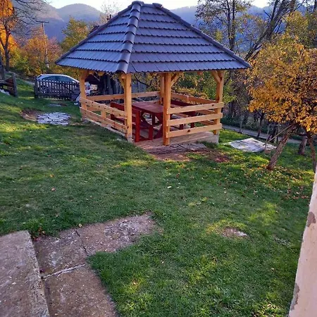 Seoska Kuca Rakic - Tara * Rastiste