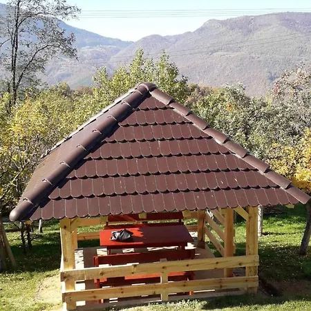 Seoska Kuca Rakic - Tara Chalé *