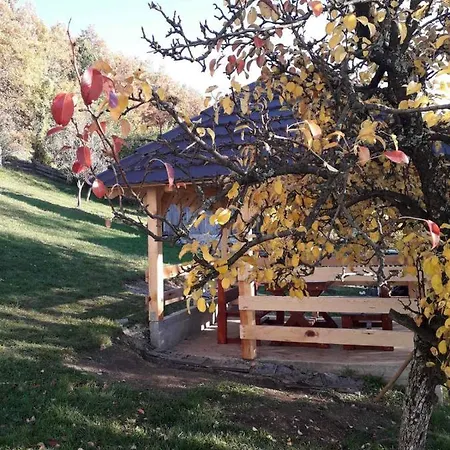 Seoska Kuca Rakic - Tara Chalé *