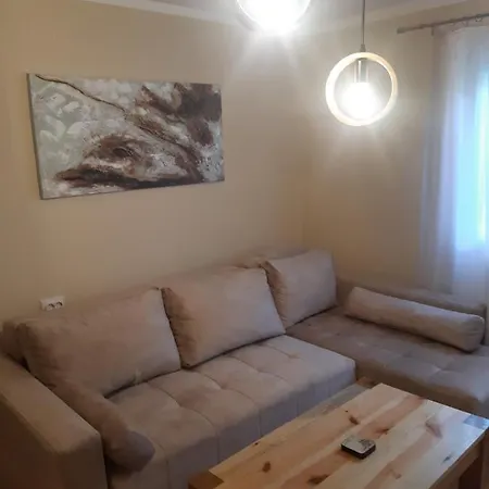 Seoska Kuca Rakic - Tara Chalé *