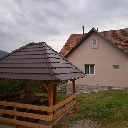 Seoska Kuca Rakic - Tara Chalé *