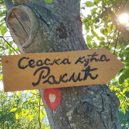 Seoska Kuca Rakic - Tara Chalé *