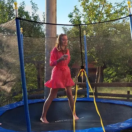 Chalé Seoska Kuca Rakic - Tara