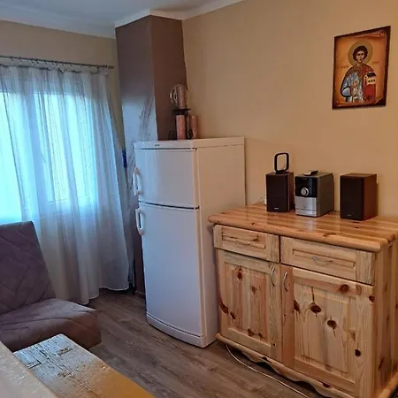 Seoska Kuca Rakic - Tara Rastiste