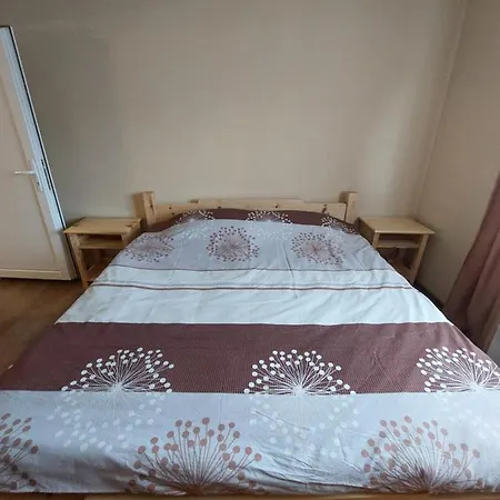 Seoska Kuca Rakic - Tara Chalé